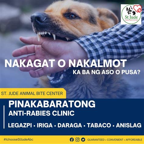 animal bite center lapu lapu|Nakagat ba o nakalmot ng aso, .